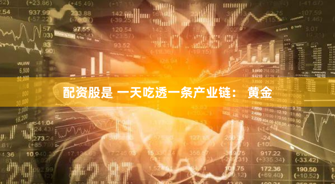 【财富杠杆革命】配资世家官网全解析：从入门到精通的资本腾飞指南